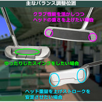 Tabata（タバタ） ゴルフ ウエイト 3点セット GV8013 2個（直送品）