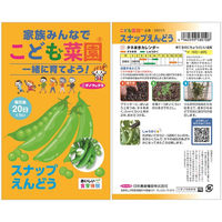 日本農産種苗 こども菜園 わくわくセット秋(観察シート付) 4960599900043 1セット(5袋入)（直送品）