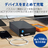 HDD 外付け 10TB 据え置き 5年保証 1big Dock STHS10000800 LaCie 1個（直送品）