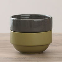 スタッキングボウル　Φ９０ｍｍ　アリビオ　２ＳＥＴ　ＤＧＹ 77481 1箱（3セット入り） 不二貿易（直送品）