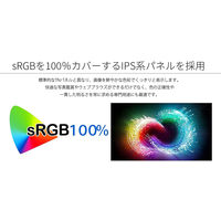 27インチ ワイド液晶ディスプレイ(3840x2160/IPS/DPx1/HDMIx3/スピーカー/チルト) JN-IPS2706UHDR（直送品）