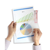 ビュートン クリヤーホルダーイエローA4PP FCH-A4-Y 1セット(30枚)