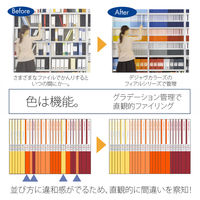 プラス　DEJAVU　2リングロック　PY　20　　98054　10冊（直送品）