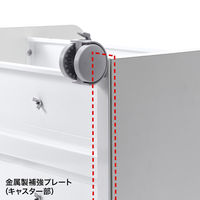 サンワサプライ 高耐荷重ファイルワゴン 幅700×奥行335×高さ623mm ホワイト WG-302N 1台（直送品）