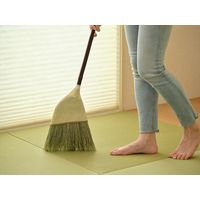 山崎産業 デイリークリーン 座敷箒 短柄 15340000020000 1本