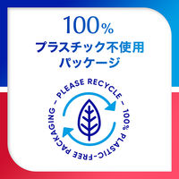 シュミテクト 歯周ダブルケアEX ハブラシ レギュラー ふつう 歯周病ケア 1セット（12本）Haleonジャパン