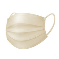 SPUN MASK スパンレース 不織布 （グレージュ）1セット（40枚入×3箱） 医食同源ドットコム 個包装 使い捨て カラーマスク