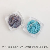 SHAREYDVA シェルシート 2g パープル 94852 1個（直送品）