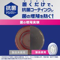 ファブリーズ 芳香剤玄関用 消臭+抗菌 ホワイトティー&シトラス 詰替入り本体ケース 1セット（1個×3） P＆G