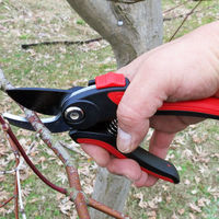 コンヨ イージーグリップ剪定鋏 31116 1丁（直送品）