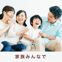 チョコレート菓子 チョコパイ　6個入 1セット（1個×3）