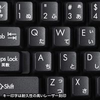 サンワサプライ USBハブ付コンパクトキーボード SKB-KG2UH3BK 1個