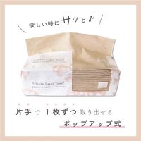キッチンペーパー　ソフトパック　無漂白キッチンペーパータオル　230×220ｍｍ　無漂白パルプ100％　 1箱（100組入×36パック）　トーヨ