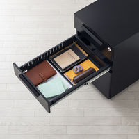 サンワサプライ キャビネット 幅390×奥行534×高さ600mm ホワイト SNW-106BK 1台（直送品）