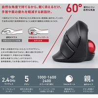 磁気研究所 エルゴノミクスデザイン 2.4GHｚ　ワイヤレストラックボール HDM-06TWBK 1個