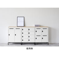 【軒先渡し】エムテックス スチールパーソナルロッカー 専用 天板 幅800mm用 285115 1枚（直送品）