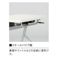 【軒先渡し】ニシキ工業  教育施設用テーブル  幅650×奥行450×高さ720mm  ペールウッド  APJ-B6545D-PL  1台（直送品）