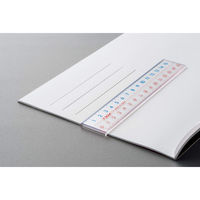 ライオン事務器 アクリル直線定規 15cm L-5S ピンク 日本製 27066 1セット(5本)（直送品）