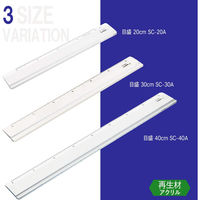 ライオン事務器 再生アクリル製インジェクション成型定規 20cm SC-20A 日本製 27183 1セット(2本)