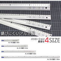 ライオン事務器 アルミカッティング 定規 30cm AL-30 27160 1セット(4本)