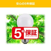 NVCライティングジャパン LED電球 100W形相当昼光色 配光角約 180°（1520lm）NVC LDA11D-G/K100AR 1個