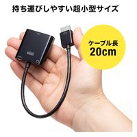 サンワサプライ HDMI-VGA変換アダプタ(オーディオ出力付き) AD-HD23VGA 1個（直送品）