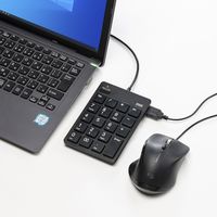 サンワサプライ USBテンキー(Type-Cコネクタ・USB2.0ハブ付き) NT-18CUHBK 1個（直送品）