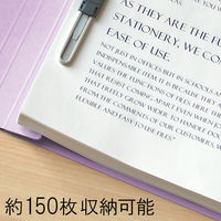 プラス エコノミーフラットF A4S VL No.021E 1パック(10冊入)（直送品）