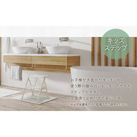 Netforce 折りたたみ 踏み台2段 ブラック NF-FD-2-AW 1台（直送品）