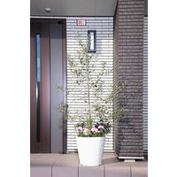 【園芸用品】アップルウェアークラフトポット 35型 ホワイト 17L 350mmΦ×340mm 鉢 ガーデニング