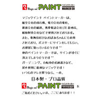 寺西化学工業 マジック ペイントマーカーSR No.550 パック 緑 MSR550P-T4 1セット(5本)