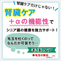 健康缶 シニア猫用 毛玉ケア 40g 12袋 アイシア キャットフード パウチ