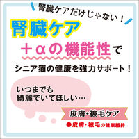 健康缶 シニア猫用 皮膚・被毛ケア 40g 48袋 アイシア キャットフード パウチ