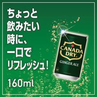 【炭酸飲料】　カナダドライ ジンジャーエール 160ml 1セット（60缶）