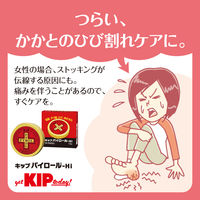 キップパイロールHi 15g キップ薬品　塗り薬　日焼け 軽度のやけど 切傷 すり傷 あかぎれ 雪焼け【第2類医薬品】