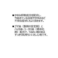 ロートVアクティブ 13ml ロート製薬　目薬 眼科用薬 疲れ目【第3類医薬品】
