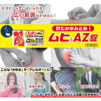 ムヒAZ錠 12錠 池田模範堂  飲み薬 かゆみ はれ じんましん【第2類医薬品】