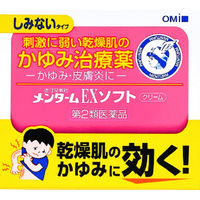 近江兄弟社メンタームEXソフト 90g 近江兄弟社　塗り薬 かゆみ止め・ワセリン配合 湿疹・あせも・かゆみに【第2類医薬品】