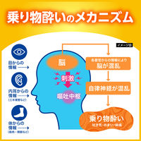 センパア ドリンク 20ml×2本 大正製薬 酔い止め 乗物酔い【第2類医薬品】