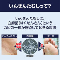 ラミシールDX 10g Haleonジャパン　水虫薬 塗り薬 1日1回タイプ テルビナフィン塩酸塩 みずむし たむし【指定第2類医薬品】