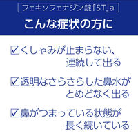 フェキソフェナジン錠「ST」a 60錠 グレートアンドグランド　花粉などによるアレルギー性鼻炎 鼻水 くしゃみ【第2類医薬品】
