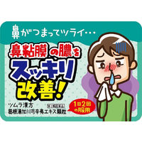 ツムラ漢方〔2〕葛根湯加川キュウ辛夷エキス顆粒 48包 ツムラ　漢方薬 鼻づまり 慢性鼻炎【第2類医薬品】
