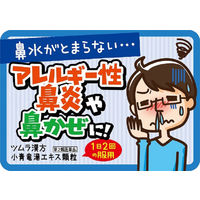 ツムラ漢方〔19〕小青竜湯エキス顆粒 48包 ツムラ　漢方薬　アレルギー性鼻炎 花粉症【第2類医薬品】