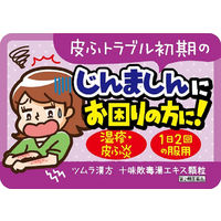 ツムラ漢方〔6〕十味敗毒湯エキス顆粒 20包 ツムラ　漢方薬　化膿性皮膚疾患 じんましん 水虫【第2類医薬品】