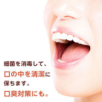 イソジンうがい薬 250ml シオノギヘルスケア　常備薬 口腔内及びのどの殺菌・消毒・洗浄　口臭の除去【第3類医薬品】