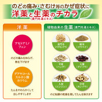 パブロン 50錠 大正製薬 かぜ 風邪薬 のどの痛 みさむけ 発熱【第2類医薬品】