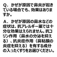 アレルビ 56錠 皇漢堂薬品  フェキソフェナジン 花粉などによるアレルギー性鼻炎 眠くなりにくい鼻炎薬【第2類医薬品】
