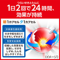 新コンタック せき止めダブル持続性 12カプセル Haleonジャパン　せき たん 1日2回タイプ【第2類医薬品】