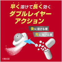 新コンタック せき止めダブル持続性 24カプセル Haleonジャパン せき たん 1日2回タイプ【第2類医薬品】