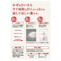 パイロンPL顆粒 12包 シオノギヘルスケア　風邪薬 常備薬 つらい喉（のど）の痛み 熱 鼻水 医療用と同量の有効成分【指定第2類医薬品】